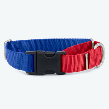 Webbing martingale dog collar Webbing martingale dog collar